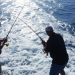 Shore Fishing Regulations in Cyprus: Licenses and Best Spots