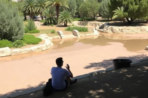 Budget-Friendly Family Day Trips Within One Hour of Nicosia