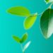 Green Energy Bonds in Cyprus: Worth Adding to Your Portfolio?